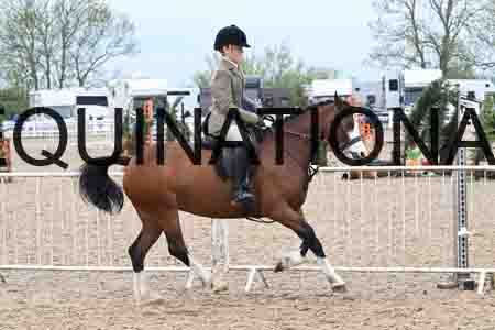 ORT-1388