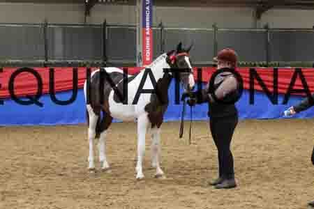 JOR-1442
