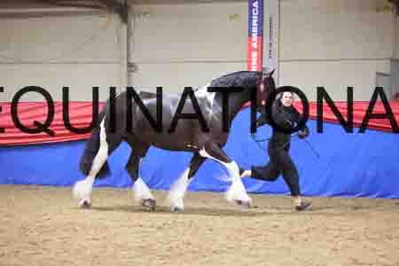 JOR-1808