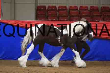 MAR-1023