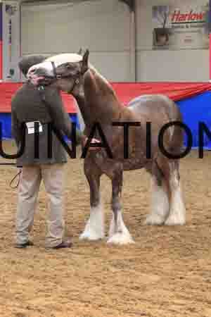 MAR-1171