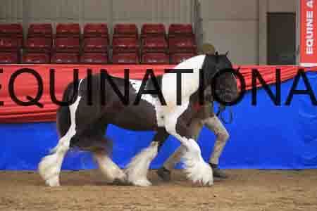 MAR-1345