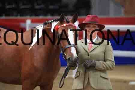 MAR-1462