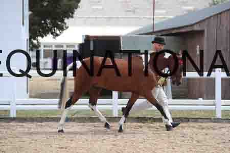 HAP-1702