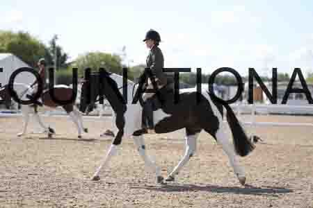 FLB-1407