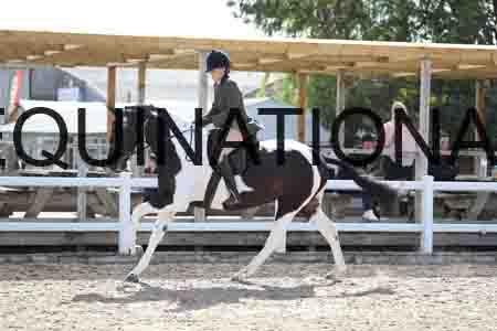 FLB-1448