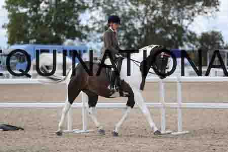 FLB-2012