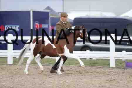FLB-2219