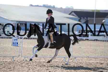 BIR-1179