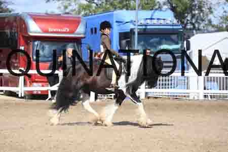 BIR-1716