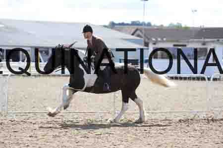 BIR-1767