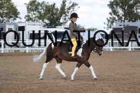 BIR-2051