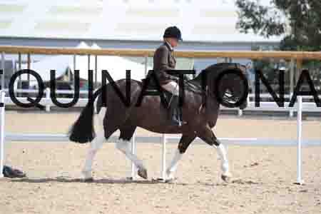 BIR-2234