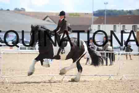 BIR-2316