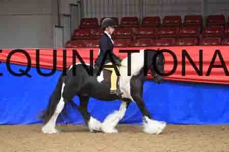 XSC-016