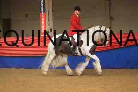 XSC-126