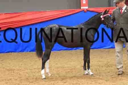 OVE-063