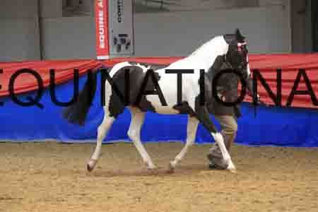 OVE-095