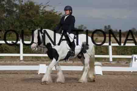 LEX-1105