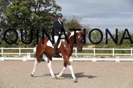 LEX-1258