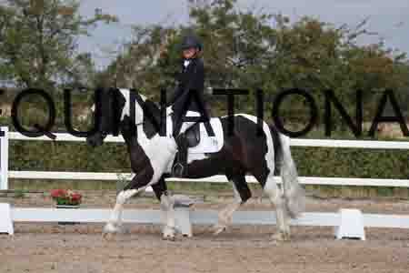 LEX-1292