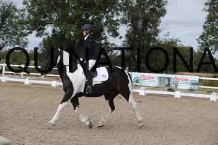 LEX-1297