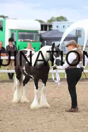 TOM-1014