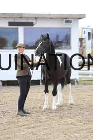 TOM-1016