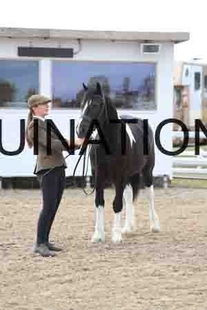 TOM-1018