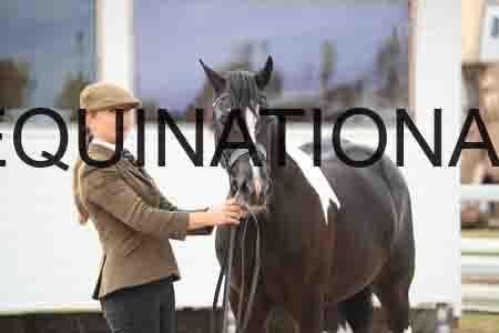 TOM-1020