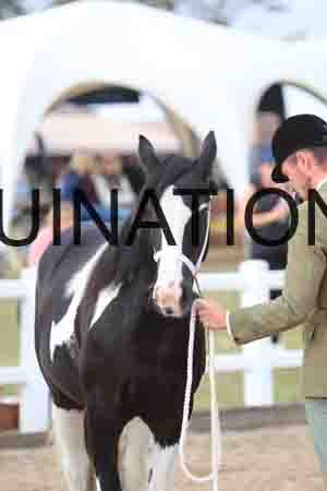 TOM-1023