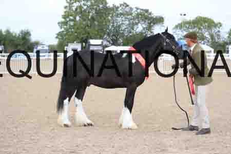 TOM-1024