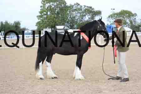 TOM-1025