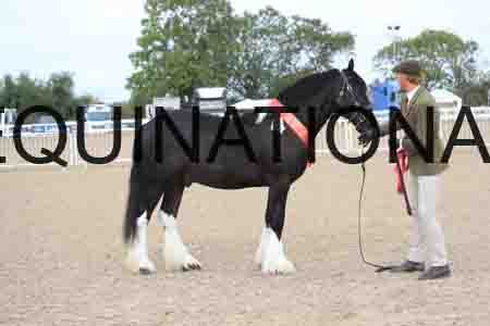 TOM-1026