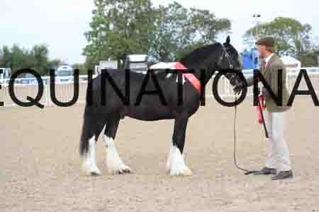 TOM-1027