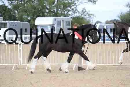 TOM-1032