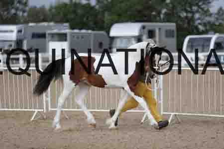 TOM-1044