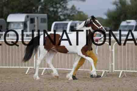 TOM-1045