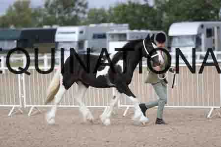 TOM-1058