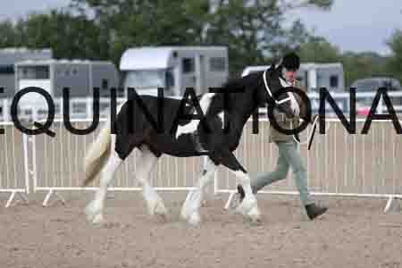 TOM-1059