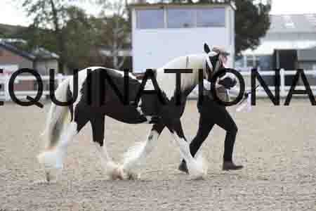 TOM-1092