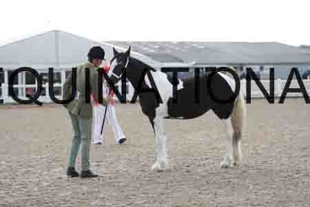TOM-1093