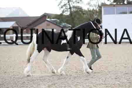TOM-1094