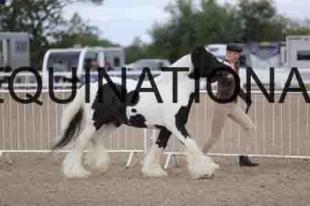 TOM-1102