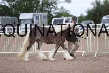 TOM-1107