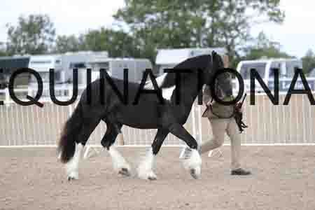 TOM-1127