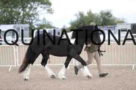 TOM-1128