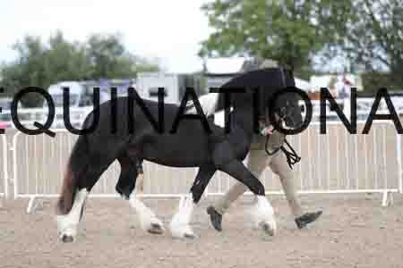 TOM-1129