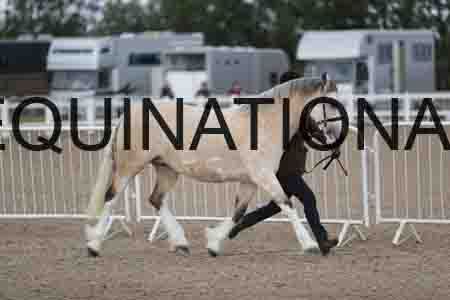 TOM-1141