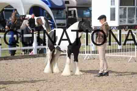 TOM-1157